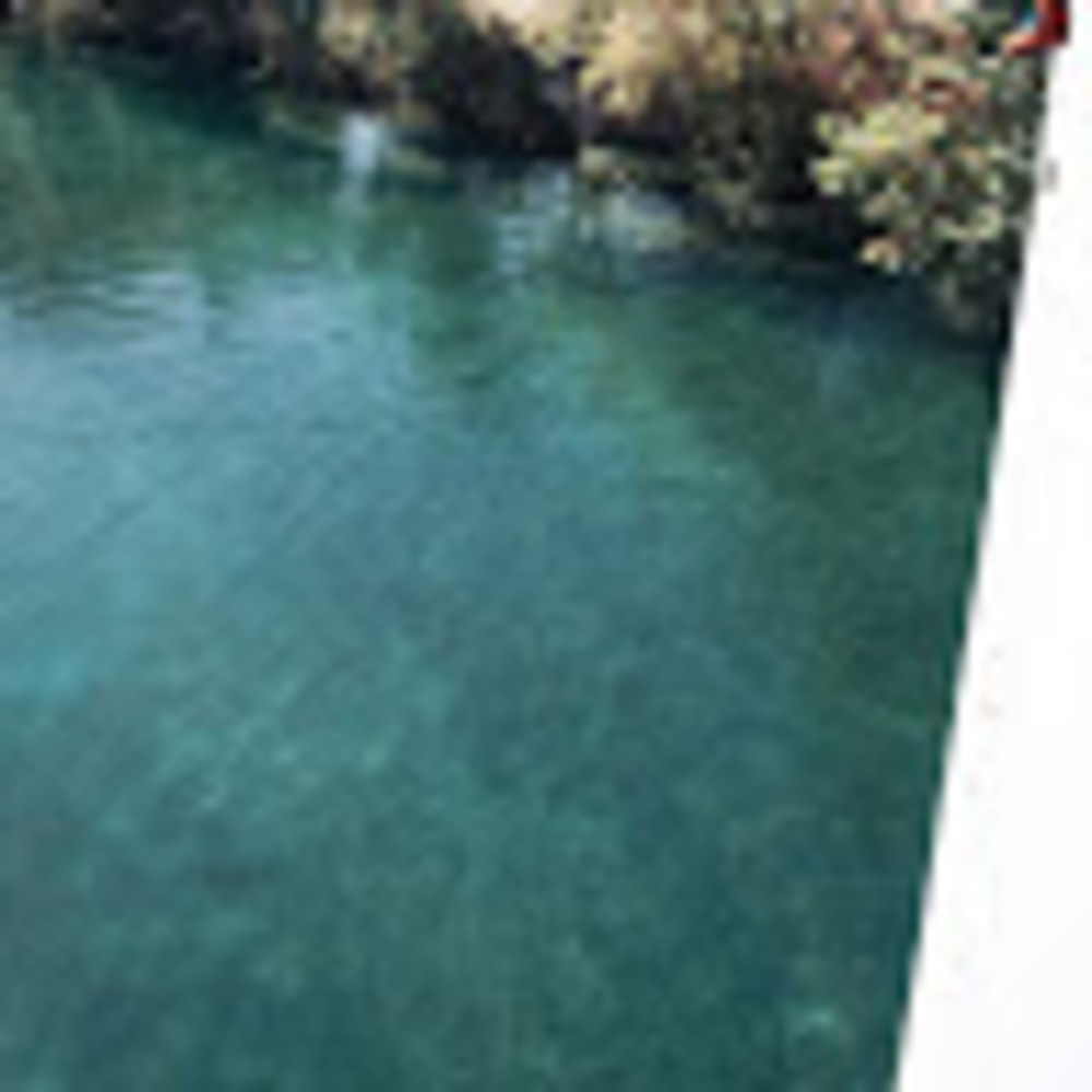 Meet your Posher, Jake